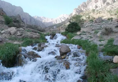 (ویدئو) چشمه میشی یاسوج؛ اینجا آب سربالا می‌رود!