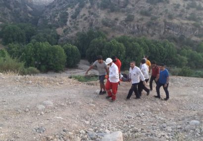 سقوط مینی بوس به دره درجاده یاسوج به اصفهان