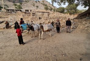 سرقت ترانس برق باعث قطعی آب شرب ساکنان ۲۸ روستای لوداب بویراحمد شد