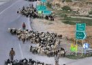 ۲۰ اردیبهشت آغاز کوچ عشایر ۲۰ اردیبهشت آغاز کوچ عشایر