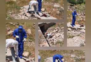 هشدار دامپزشکی در خصوص حیوان مشکوک به هاری هشدار دامپزشکی در خصوص حیوان مشکوک به هاری