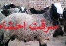 دستگیری باند سارقان حرفه ای احشام در گچساران