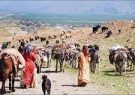 اجرای چهار طرح پیشران با محوریت عشایر کهگیلویه و بویراحمد اجرای چهار طرح پیشران با محوریت عشایر کهگیلویه و بویراحمد