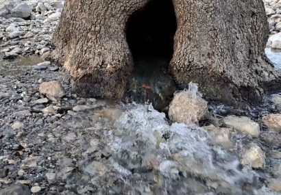 جوشش چشمه های آب پس از بارش های بهاری