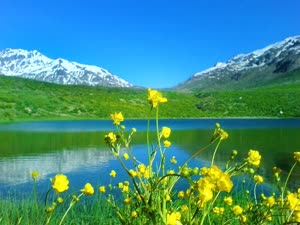 دریاچه کوه‌گل جاذبه ناب گردشگری بر بلندای دنا+تصاویر
