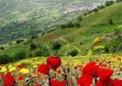 افزایش چهار درجهای دمای هوای کهگیلویه وبویراحمد افزایش چهار درجهای دمای هوای کهگیلویه وبویراحمد
