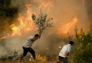 جنگل‌های منطقه حفاظت شده «کوه سرخ» گچساران در آتش می سوزد