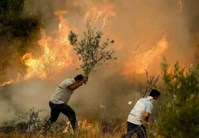 جنگل‌های منطقه حفاظت شده «کوه سرخ» گچساران در آتش می سوزد