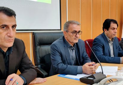 تاکید استاندار کهگیلویه و بویراحمد بر رفع مشکلات طرح نهضت ملی مسکن