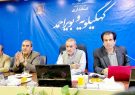 مشارکت بالای ۶۶ هزار بهره‌بردار در سرشماری عمومی کشاورزی