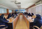 توانمندسازی زنان در جهاد کشاورزی: گامی به سوی پایداری تولید