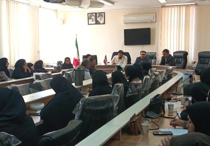 کارگاه آموزشی ویژه شهرستانهای گرمسیری، توانمند سازی معلولین تحت برنامه بیمه خویش فرمایی و کارفرمایی برای مددجویان سازمان