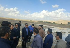 ورود قاطع دستگاه قضایی برای پیگیری حادثه و پیشگیری از خطرات احتمالی