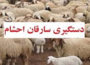 دستبند پلیس بر دست باند سارقان احشام در شهرستان کهگیلویه