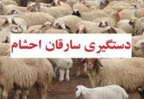 دستبند پلیس بر دست باند سارقان احشام در شهرستان کهگیلویه