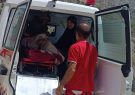 نجات بانوی ۶۰ ساله پس از ۶ ساعت تلاش