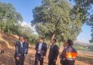 پیشرفت ۴۰ درصدی پروژه اتصال ورودی و خروجی تونل‌های سی‌سخت / فرماندار دنا: هیچ پروژه‌ای تعطیل نیست
