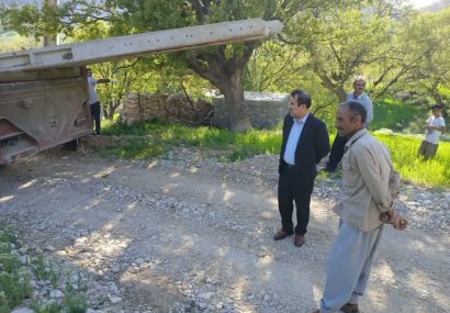 اصلاح شبکه فرسوده برق روستای بناری با پیگیری بخشدار دیشموک
