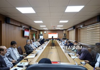 زنگ خطر مالاریا در کهگیلویه و بویراحمد به صدا درآمد/ شناسایی 10 بیمار