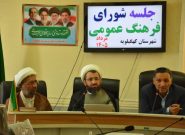 فرماندار کهگیلویه: مصوبات شورای فرهنگ عمومی باید از مرحله حرف به میدان عمل برسد