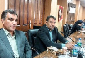 سی‌سخت در مسیر تحول؛ از آسفالت معابر تا توسعه فضای سبز و نوسازی ناوگان شهری»