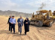 سرمایهگذاری راهبردی برای امنیت غذایی و ارزآوری؛ پیشرفت ۹۰ هکتاری فاز اول نخلستان مجول به روایت رئیس جهاد کشاورزی استان