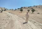 بازدید بخشدار دیشموک از روستای مورخانی و بیس‌ریزی قبر شهید دارایی؛ تحقق خواسته مادر شهید