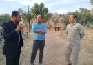 بازدید میدانی بخشدار دیشموک از روستای ده احمد؛ از مشکلات عمرانی و آنتن‌دهی تا پل و جاده