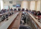فرماندار کهگیلویه: هماهنگی دستگاههای اجرایی برای رفع مشکلات کشاورزان ضروری است فرماندار کهگیلویه: هماهنگی دستگاههای اجرایی برای رفع مشکلات کشاورزان ضروری است